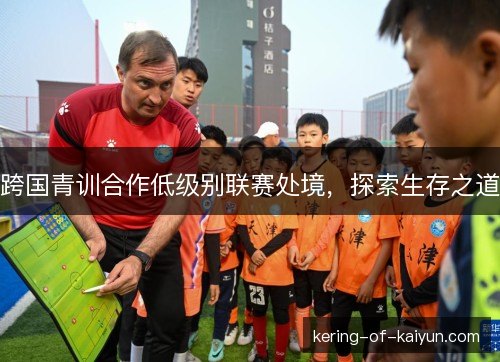 跨国青训合作低级别联赛处境,探索生存之道 跨国青训合作低级别联赛处境,探索生存之道